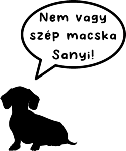 Egyedi kutyás póló - Nem vagy szép macska Sanyi!